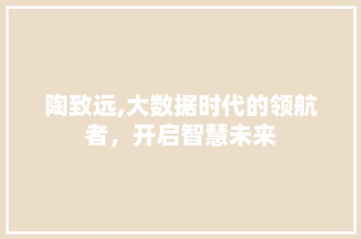 陶致远,大数据时代的领航者，开启智慧未来 头条优化