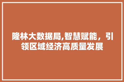 隆林大数据局,智慧赋能，引领区域经济高质量发展