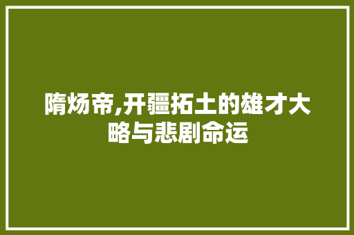 隋炀帝,开疆拓土的雄才大略与悲剧命运 搜狗优化