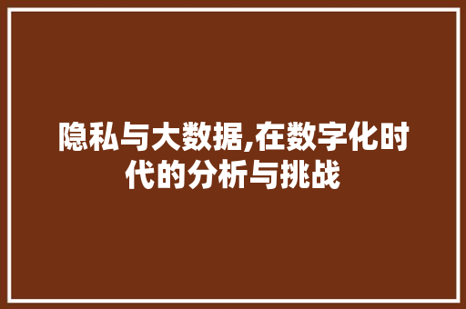 隐私与大数据,在数字化时代的分析与挑战