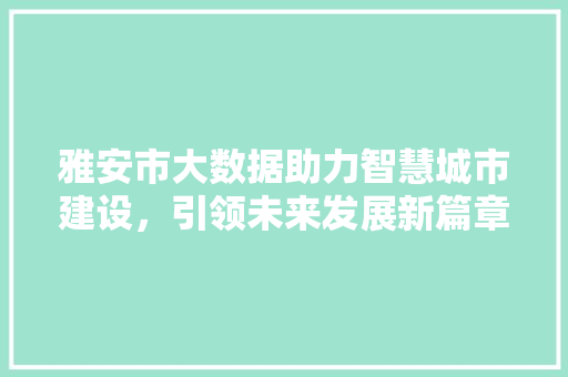雅安市大数据助力智慧城市建设，引领未来发展新篇章