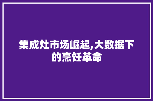 集成灶市场崛起,大数据下的烹饪革命