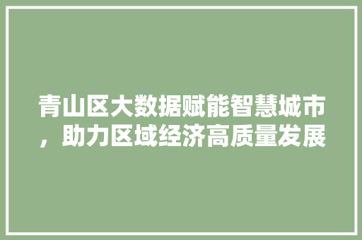 青山区大数据赋能智慧城市，助力区域经济高质量发展 AI技术学习