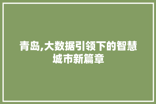 青岛,大数据引领下的智慧城市新篇章