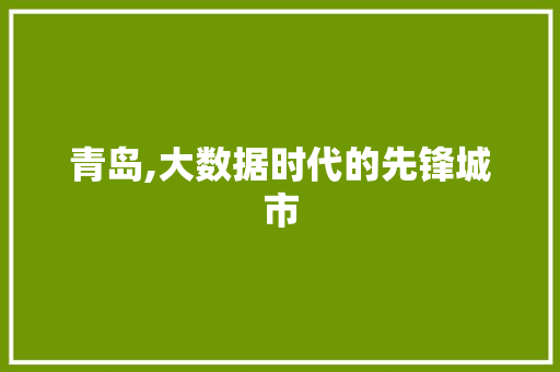 青岛,大数据时代的先锋城市