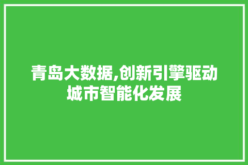 青岛大数据,创新引擎驱动城市智能化发展