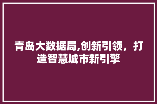青岛大数据局,创新引领，打造智慧城市新引擎