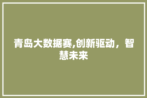 青岛大数据赛,创新驱动，智慧未来