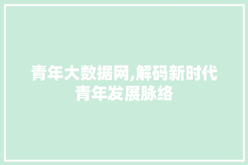 青年大数据网,解码新时代青年发展脉络 网站优化