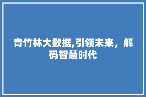 青竹林大数据,引领未来，解码智慧时代 网站开发