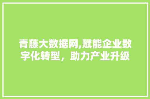 青藤大数据网,赋能企业数字化转型，助力产业升级 百度算法
