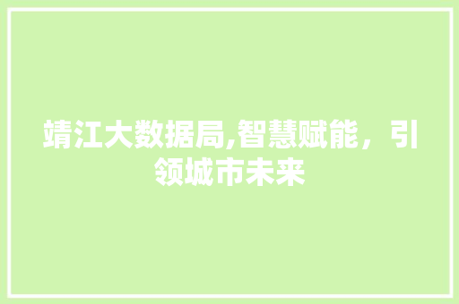 靖江大数据局,智慧赋能，引领城市未来