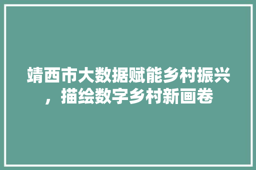 靖西市大数据赋能乡村振兴，描绘数字乡村新画卷