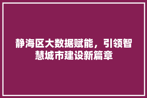 静海区大数据赋能，引领智慧城市建设新篇章