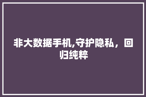 非大数据手机,守护隐私，回归纯粹