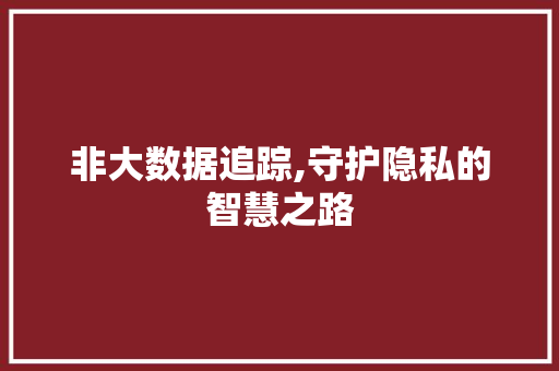 非大数据追踪,守护隐私的智慧之路