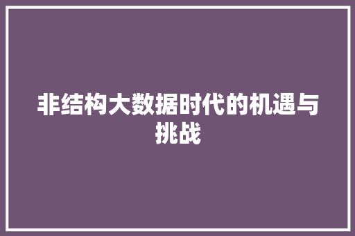 非结构大数据时代的机遇与挑战