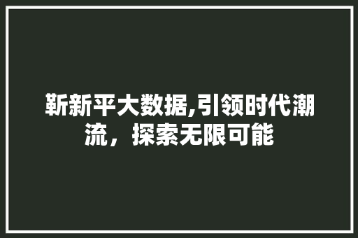 靳新平大数据,引领时代潮流，探索无限可能