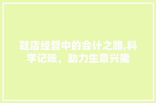 鞋店经营中的会计之路,科学记账，助力生意兴隆 网站优化
