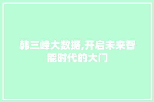 韩三峰大数据,开启未来智能时代的大门