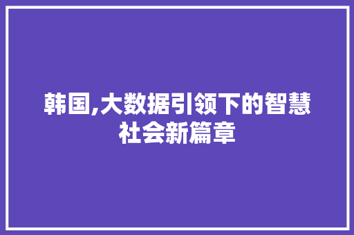 韩国,大数据引领下的智慧社会新篇章