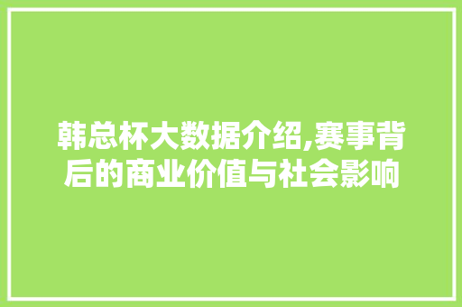 韩总杯大数据介绍,赛事背后的商业价值与社会影响