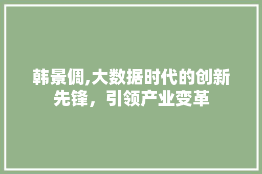 韩景倜,大数据时代的创新先锋，引领产业变革