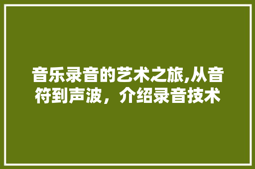 音乐录音的艺术之旅,从音符到声波，介绍录音技术