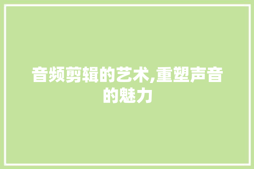 音频剪辑的艺术,重塑声音的魅力