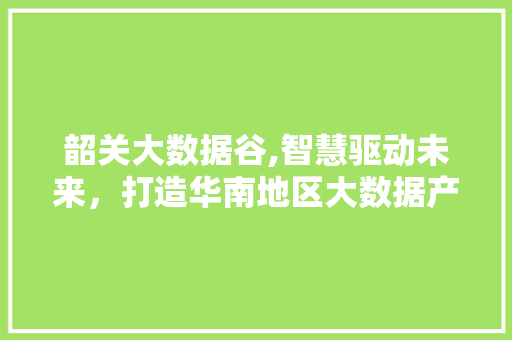 韶关大数据谷,智慧驱动未来，打造华南地区大数据产业新高地
