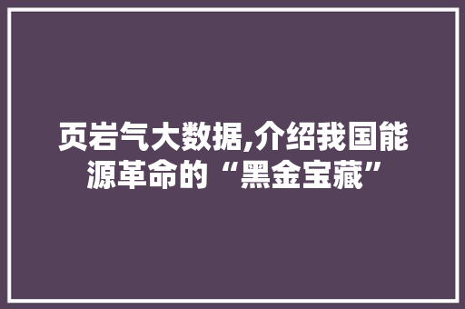 页岩气大数据,介绍我国能源革命的“黑金宝藏”