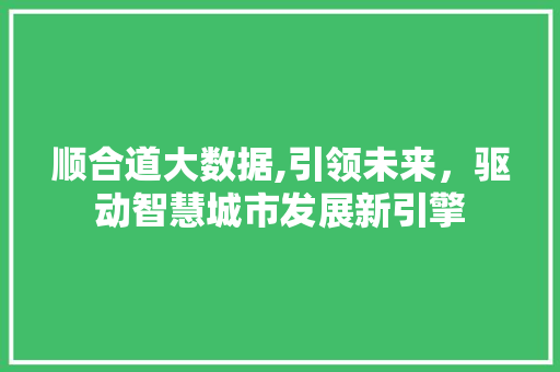 顺合道大数据,引领未来，驱动智慧城市发展新引擎 小程序开发