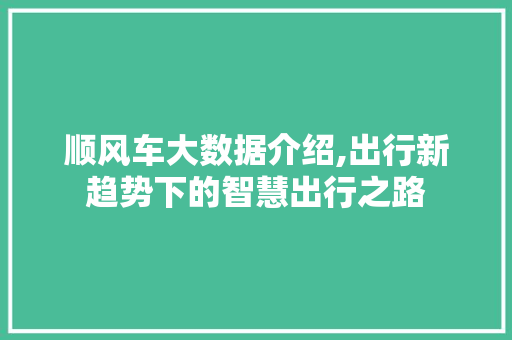 顺风车大数据介绍,出行新趋势下的智慧出行之路