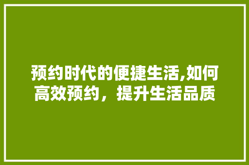预约时代的便捷生活,如何高效预约，提升生活品质