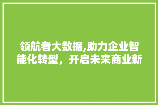 领航者大数据,助力企业智能化转型，开启未来商业新篇章 英文谷歌算法