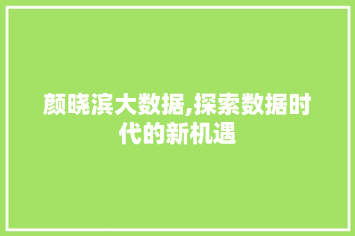 颜晓滨大数据,探索数据时代的新机遇