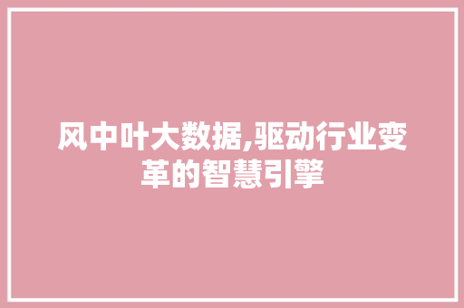 风中叶大数据,驱动行业变革的智慧引擎 小程序开发