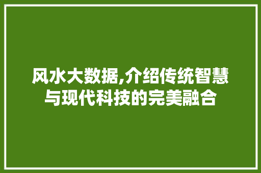 风水大数据,介绍传统智慧与现代科技的完美融合 网站开发