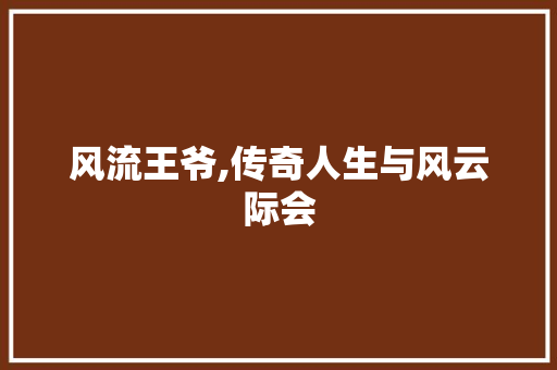 风流王爷,传奇人生与风云际会