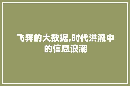 飞奔的大数据,时代洪流中的信息浪潮
