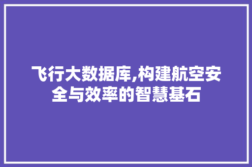 飞行大数据库,构建航空安全与效率的智慧基石