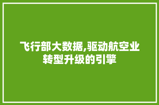 飞行部大数据,驱动航空业转型升级的引擎