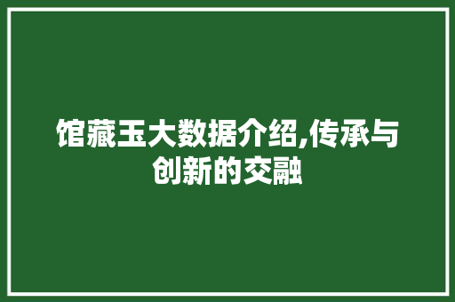 馆藏玉大数据介绍,传承与创新的交融 头条优化
