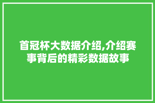 首冠杯大数据介绍,介绍赛事背后的精彩数据故事 网站开发