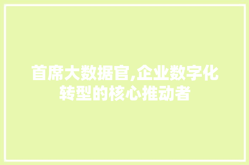 首席大数据官,企业数字化转型的核心推动者 seo技术