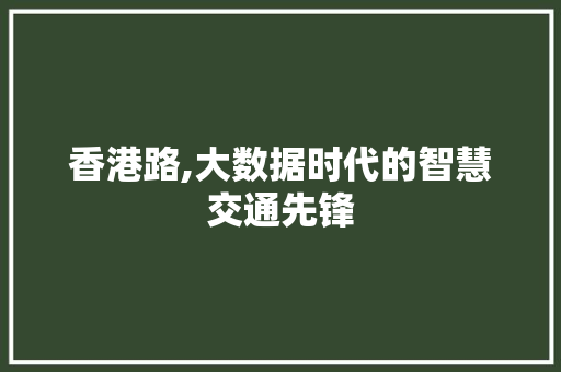香港路,大数据时代的智慧交通先锋