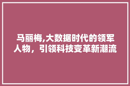 马丽梅,大数据时代的领军人物，引领科技变革新潮流 头条优化