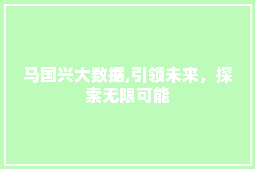 马国兴大数据,引领未来，探索无限可能