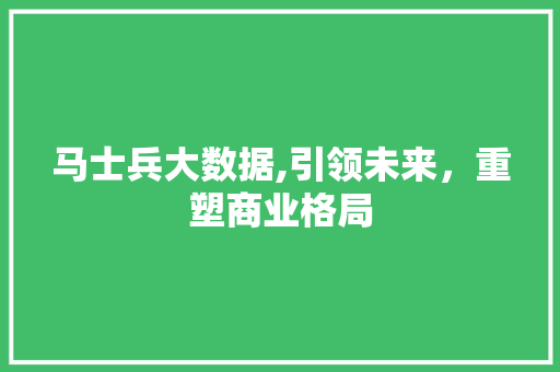 马士兵大数据,引领未来，重塑商业格局