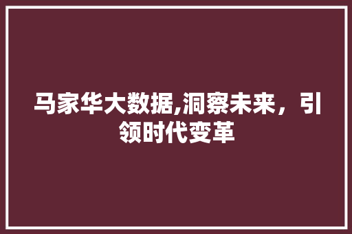马家华大数据,洞察未来，引领时代变革